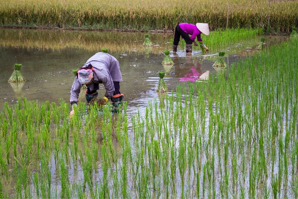 Bac Son Valley and Nalay Mountain 1 Day Tour - photo 17